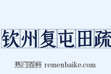 钦州复屯田疏是什么意思的图片